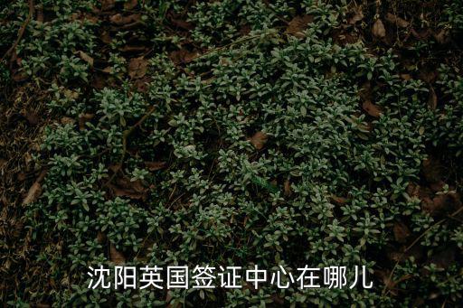 沈陽英國簽證中心在哪兒