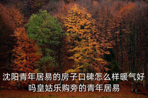 沈陽青年居易，沈陽青年居易的房子口碑怎么樣暖氣好嗎皇姑樂購旁的青年居易