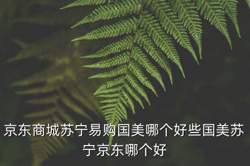 京東易購網上商城，京東商城蘇寧易購國美哪個好些國美蘇寧京東哪個好