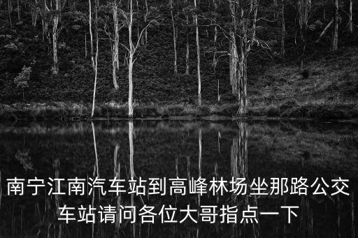 南寧江南汽車站到高峰林場坐那路公交車站請問各位大哥指點一下