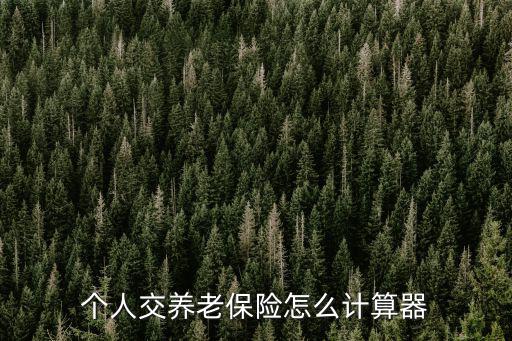 個人交養老保險怎么計算器