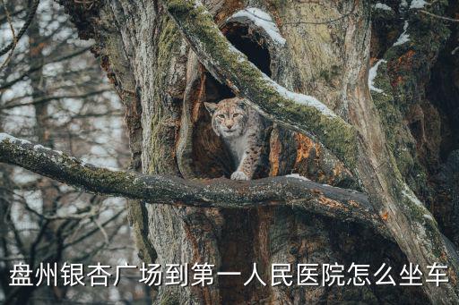 盤州市人民醫(yī)院，盤縣人民醫(yī)院是二級(jí)醫(yī)院?jiǎn)?/></a></span><span id=