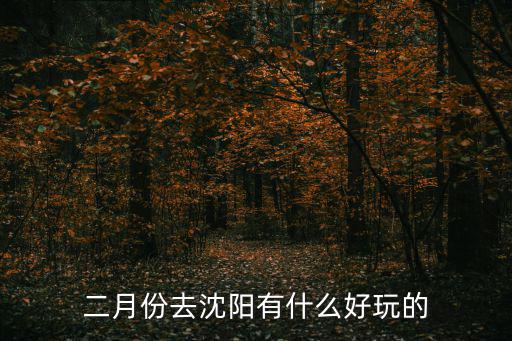 沈陽有什么好玩的，沈陽有哪些地方好玩的