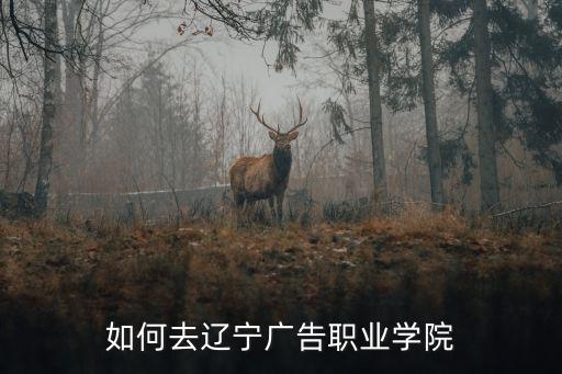如何去遼寧廣告職業學院