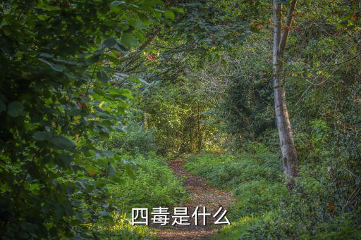 四毒是什么
