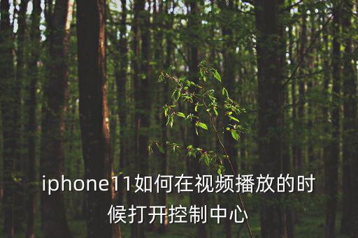 控制中心在哪里，細胞的控制中心是什么