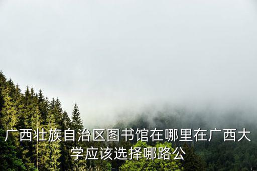 廣西壯族自治區圖書館在哪里在廣西大學應該選擇哪路公