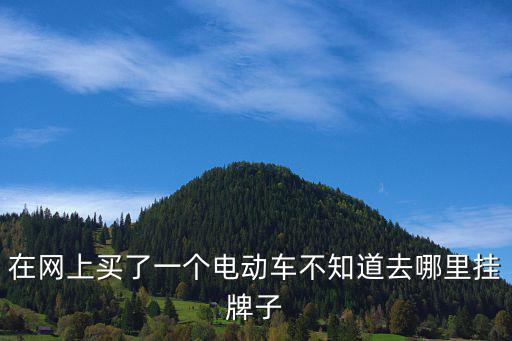 在網上買了一個電動車不知道去哪里掛牌子
