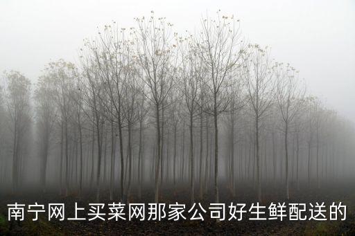 南寧網上超市，南寧網上買菜網那家公司好生鮮配送的