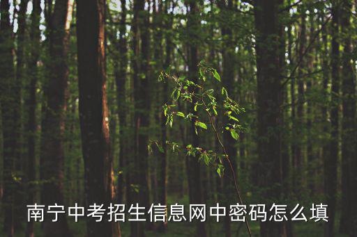 南寧中考招生信息網(wǎng)，南寧中考等級(jí)排名普通高中招生截止日期
