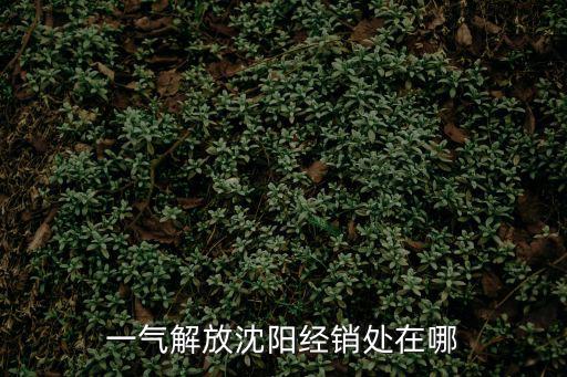 一氣解放沈陽經銷處在哪
