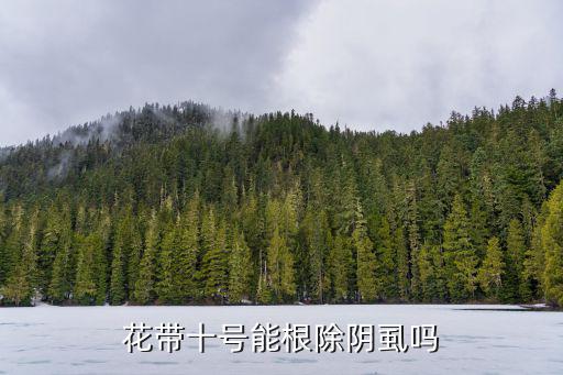 十號(hào)，花帶十號(hào)能根除陰虱嗎