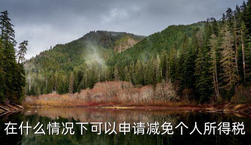 哪些條件可以減免個(gè)人所得稅，在什么情況下可以申請(qǐng)減免個(gè)人所得稅