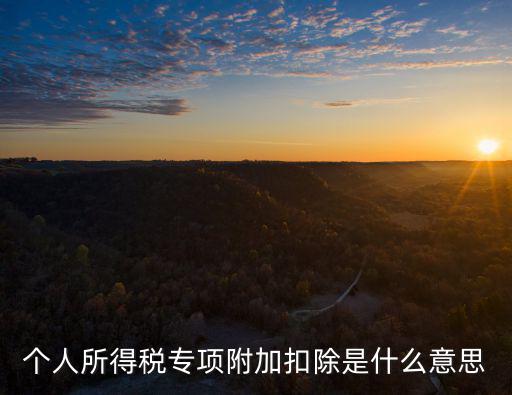 個稅專項附加扣除什么意思，個稅專項附加扣除 個稅專項附加每個子女每年標準定額多少