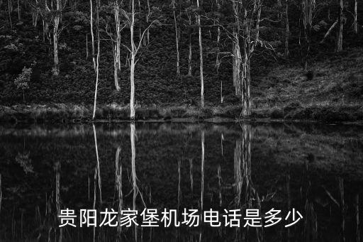 貴陽龍家堡機場電話是多少