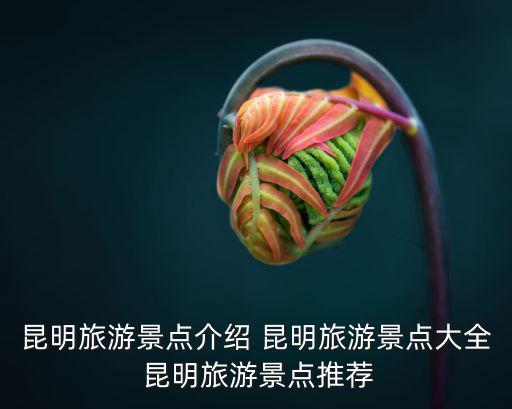 昆明旅游景點(diǎn)介紹 昆明旅游景點(diǎn)大全 昆明旅游景點(diǎn)推薦
