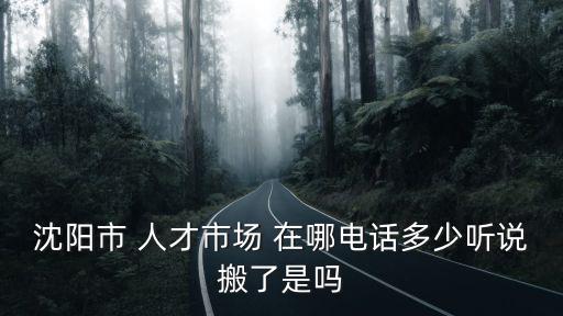 沈陽人才，沈陽市市人才市場