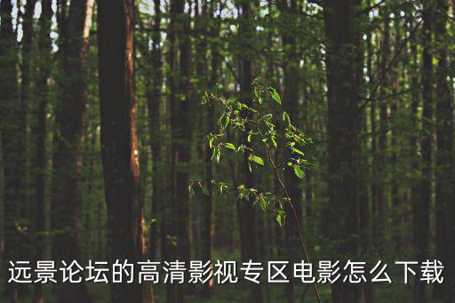 遠(yuǎn)景論壇的高清影視專區(qū)電影怎么下載