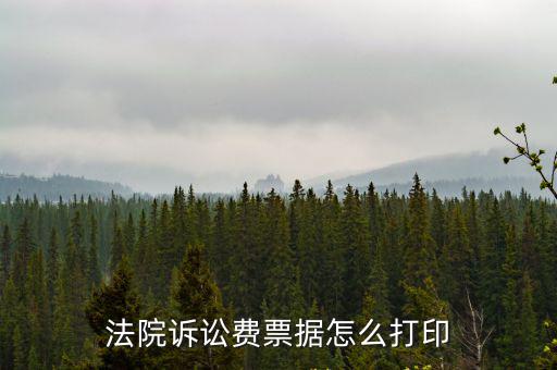 法院訴訟費票據怎么打印