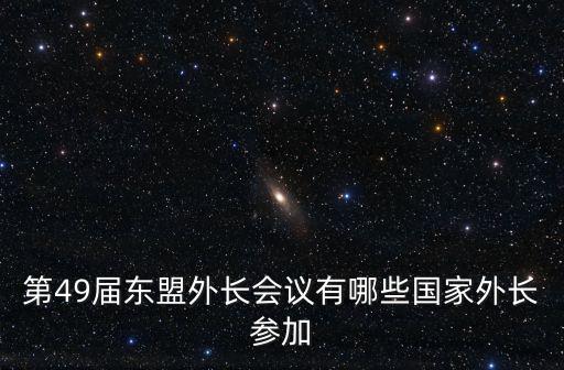 第49屆東盟外長會議有哪些國家外長參加