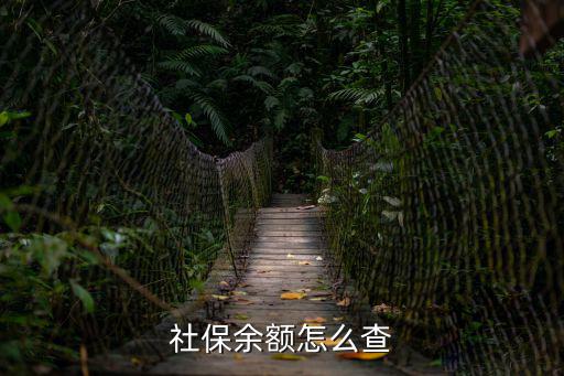 社保怎么查詢余額，怎么查社保余額