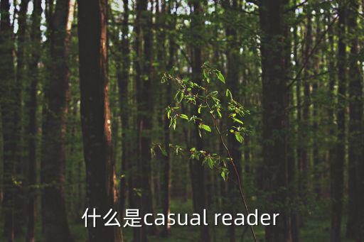 什么是casual reader