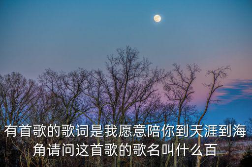 有首歌的歌詞是我愿意陪你到天涯到海角請(qǐng)問(wèn)這首歌的歌名叫什么百