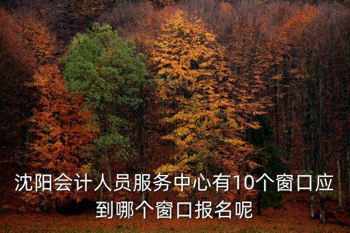 沈陽會(huì)計(jì)人員服務(wù)中心有10個(gè)窗口應(yīng)到哪個(gè)窗口報(bào)名呢