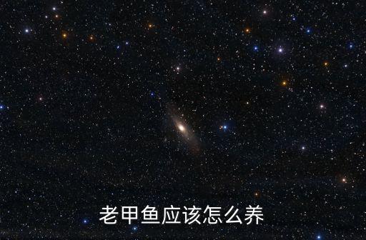 老甲魚應該怎么養