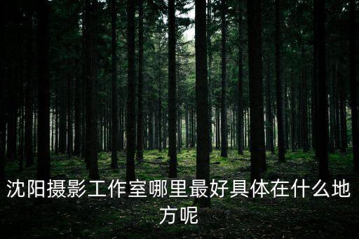 沈陽攝影工作室哪里最好具體在什么地方呢