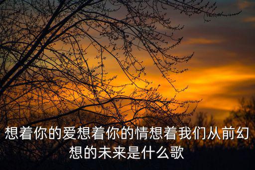 幻想的愛，愛的幻想用英語怎么寫