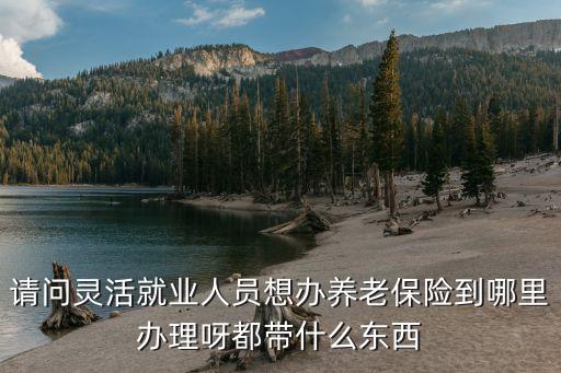 請問靈活就業人員想辦養老保險到哪里辦理呀都帶什么東西