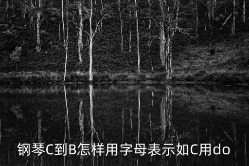 鋼琴C到B怎樣用字母表示如C用do