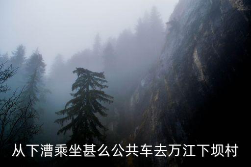 從下漕乘坐甚么公共車去萬江下壩村