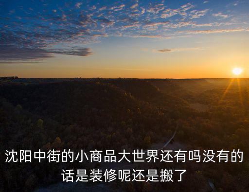 沈陽中街的小商品大世界還有嗎沒有的話是裝修呢還是搬了