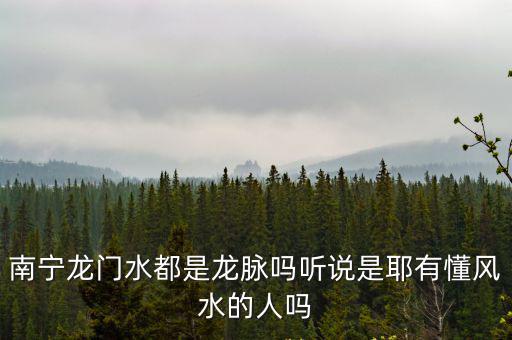 南寧龍門水都是龍脈嗎聽說是耶有懂風水的人嗎