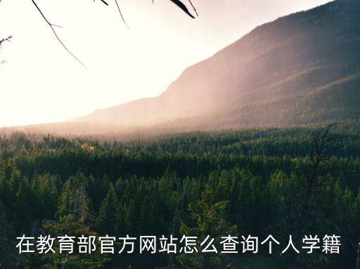 在教育部官方網(wǎng)站怎么查詢個人學籍
