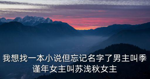 我想找一本小說但忘記名字了男主叫季謹年女主叫蘇淺秋女主