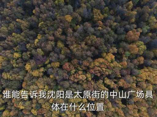 誰能告訴我沈陽是太原街的中山廣場具體在什么位置