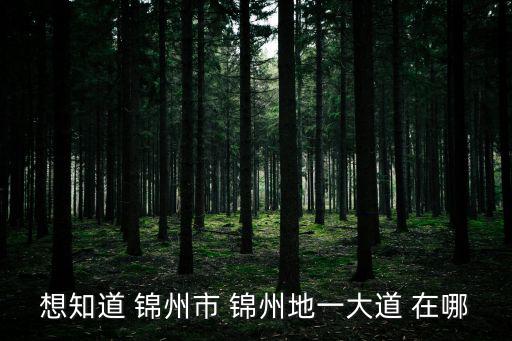 錦州第一大道，錦州第一大道的老板是不是真的跑了 沒良心的東西爛工程 會不會開了