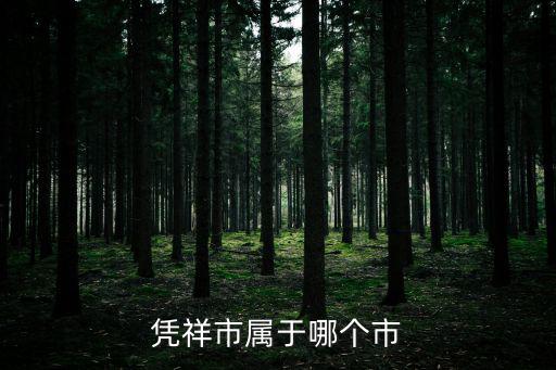 憑祥市屬于哪個市