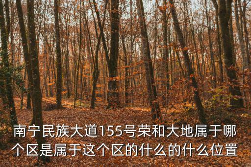 南寧民族大道155號榮和大地屬于哪個區是屬于這個區的什么的什么位置