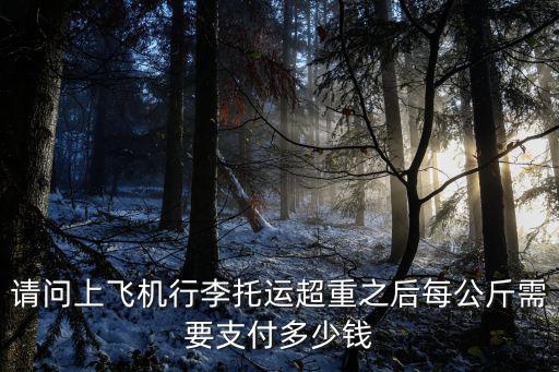 請(qǐng)問上飛機(jī)行李托運(yùn)超重之后每公斤需要支付多少錢