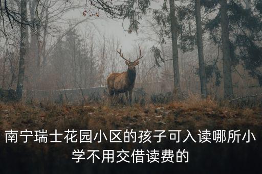 瑞士花園，南寧瑞士花園小區(qū)的孩子可入讀哪所小學(xué)不用交借讀費(fèi)的