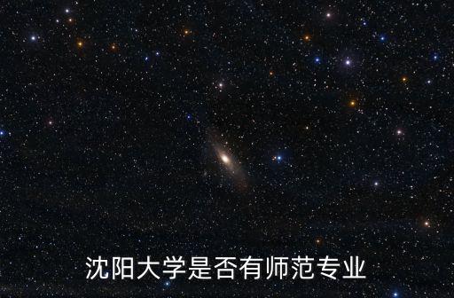 沈陽大學是否有師范專業