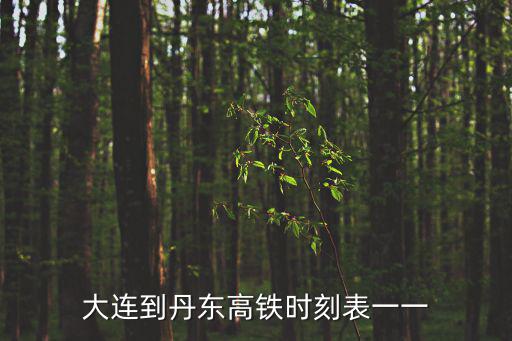 大連到丹東高鐵時刻表一一