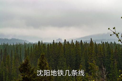 沈陽地鐵，沈陽地鐵幾條線