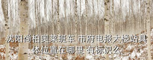 沈陽尚柏奧萊班車 市府電報大樓站具體位置在哪里 有標識么