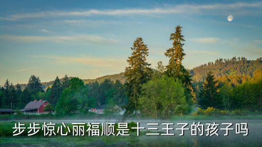 步步驚心麗福順是十三王子的孩子嗎