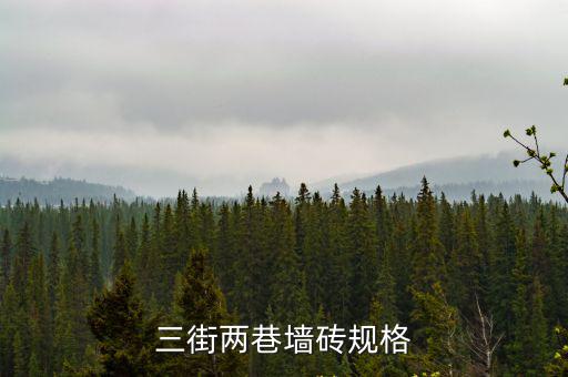 南寧三街兩巷，廣西省南寧市桃源路是位于南寧市中心東或北